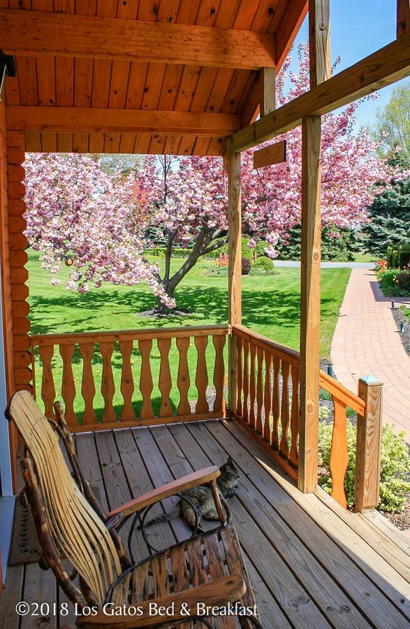 Los Gatos Bed & Breakfast 彭扬 外观 照片